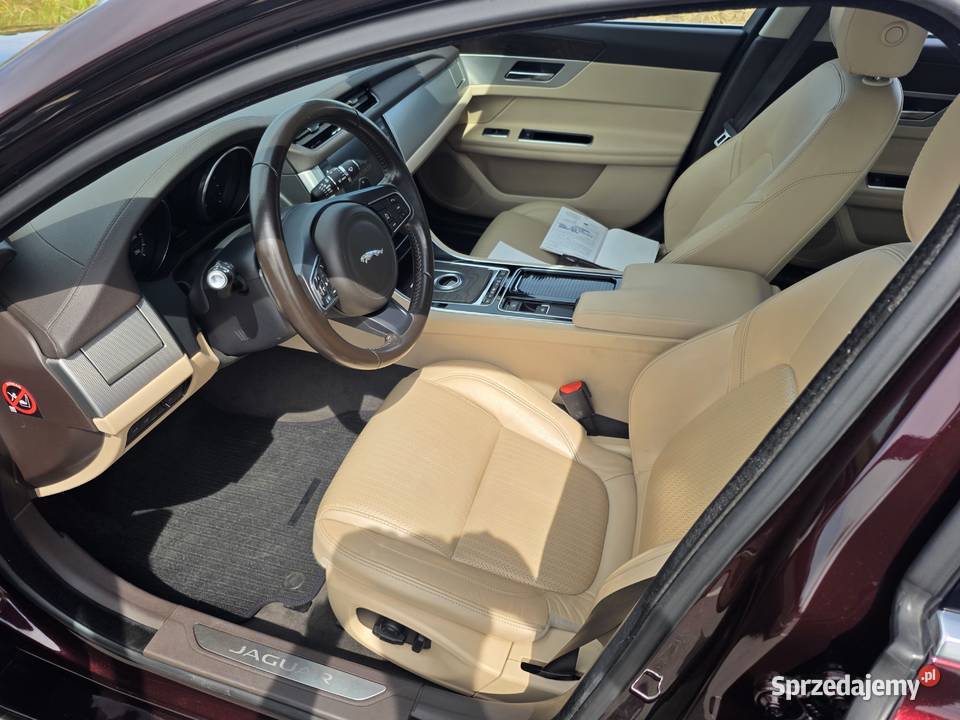 Jaguar XF 20 GTDi Prestige Salon 95 Zjawiskowy wielkopolskie