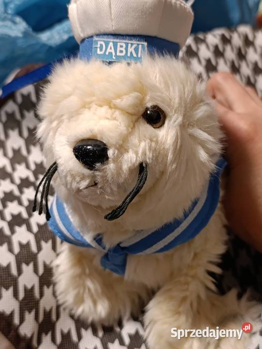 foka Dąbki zabawka pluszowa maskotka pluszak Poznań