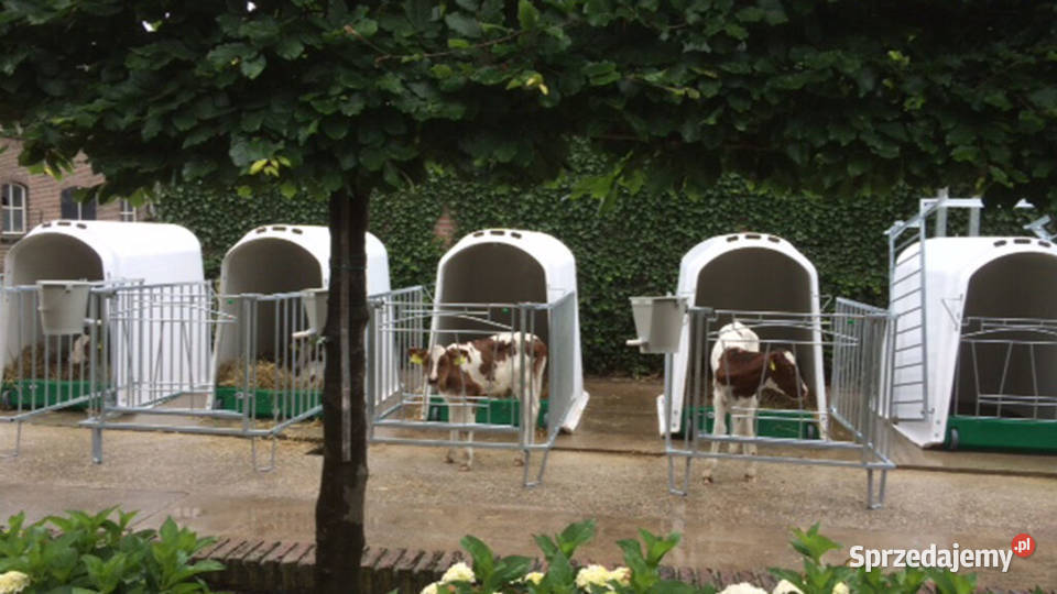 Domek cieląt pojedynczy CalfOTel Comfort z Opole sprzedam