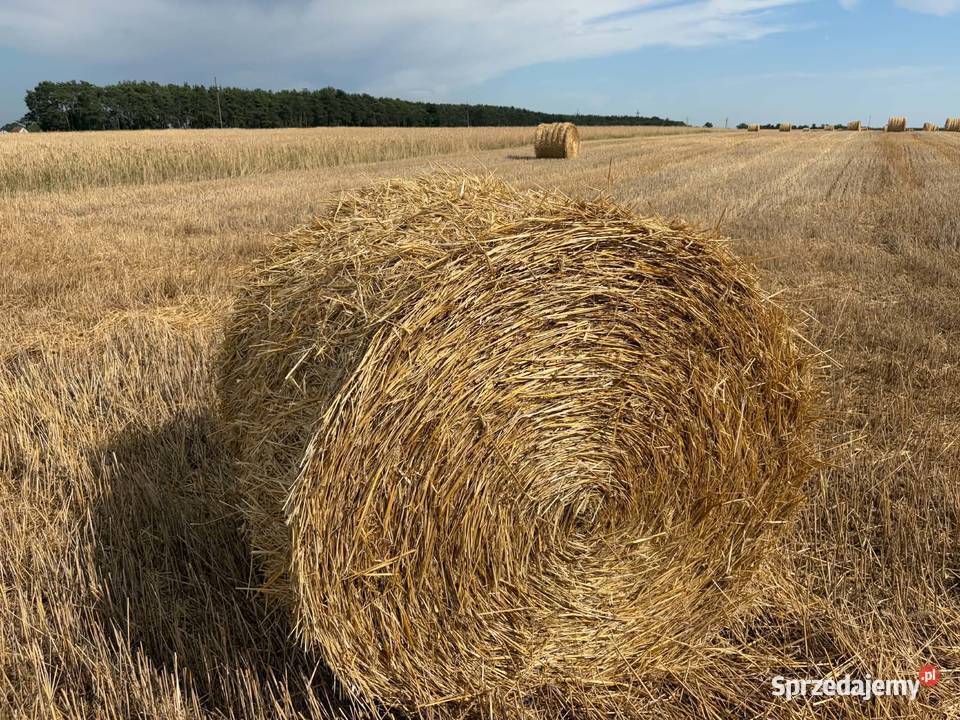 Sprzedam słomę w balach Doruchów