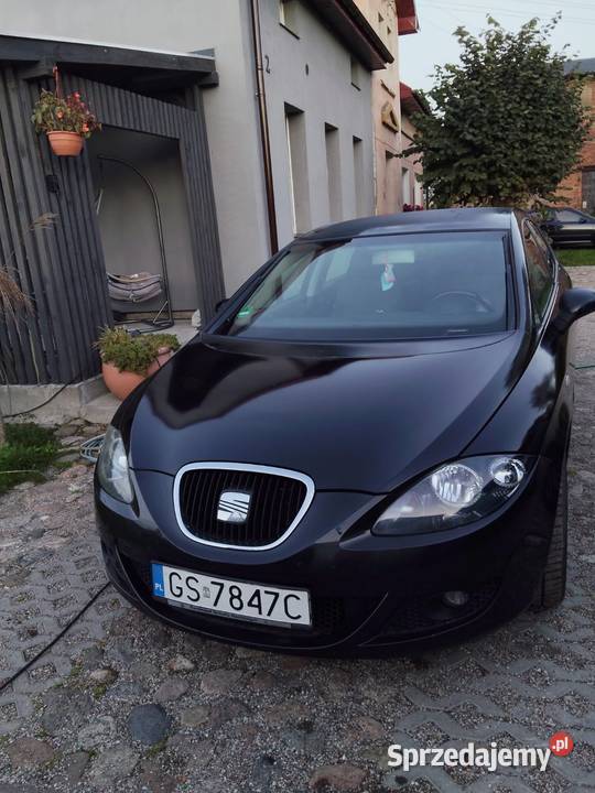 Leon 19 tdi 130 2006 r nieuszkodzony Redlino