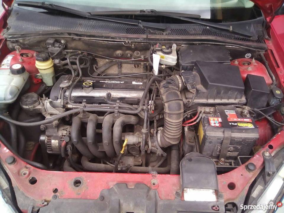 ford focus 14 16 v 75 koni 2980 do negocjacji wspomaganie kierownicy sprzedam