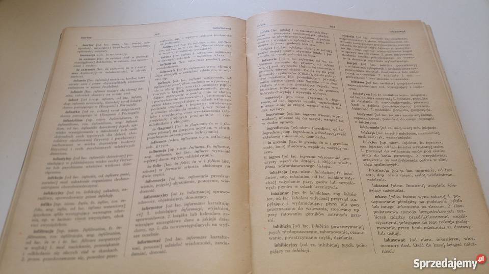 PIW Słownik wyrazów obcych Książka Pozostałe Rogoźnik