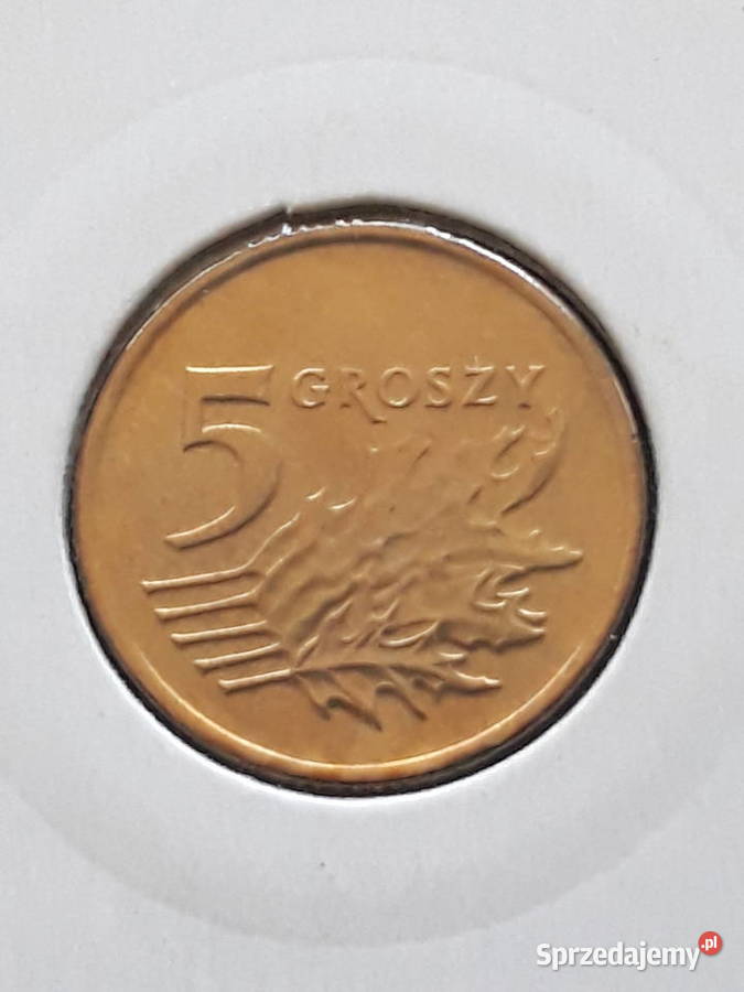 5 Groszy 1993 r Menniczez rolki wielkopolskie Konin