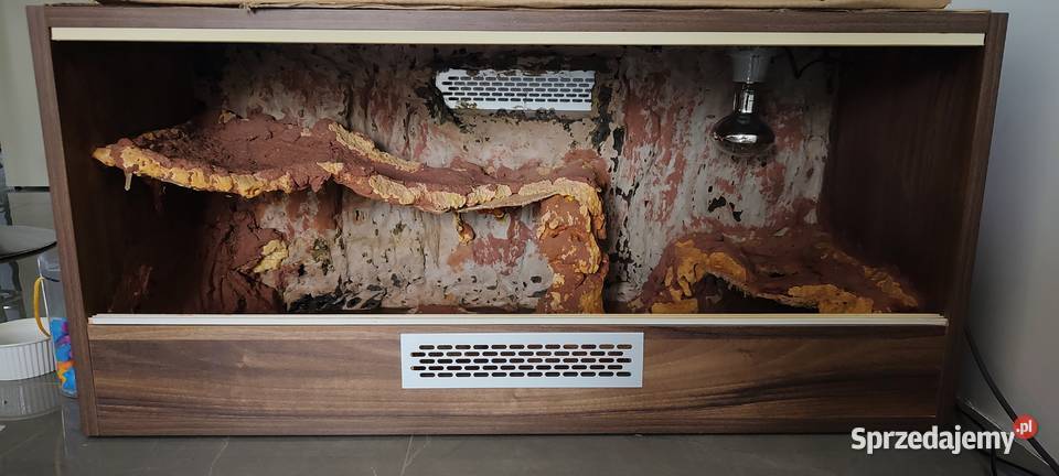 Gekon lamparci wyposażenie terrarium zestaw Płońsk sprzedam