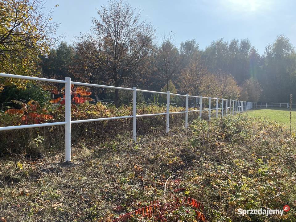 Ogrodzenie koni białe pcv słupki lonżownik kujawsko-pomorskie Inowrocław