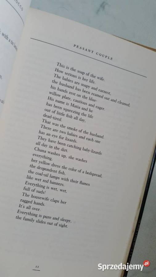 Paulette Jiles Blackwater Alfred A Knopf York Kultura i Rozrywka Puławy