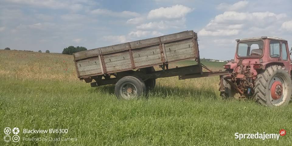 Przyczepa jednoosiowa Drzycim