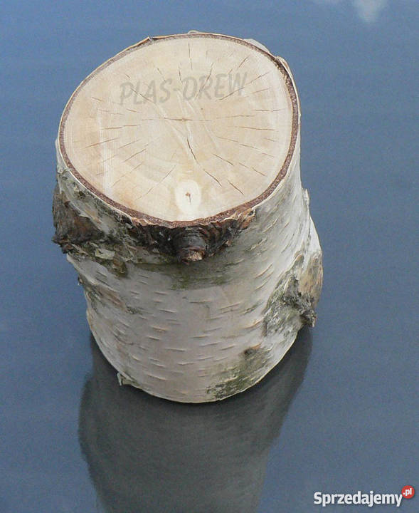 Pieniek gnatek drewna dekoracyjny wys 12 inny kolor Rzeszów