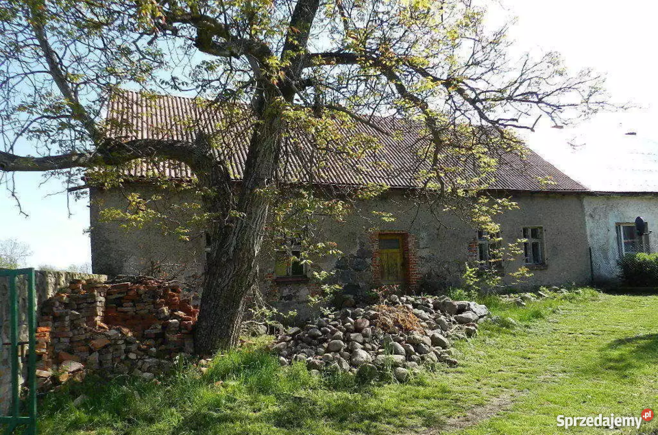 Dom 90 m2 stodoła na działce 019 ha Sienno bliźniak sprzedam