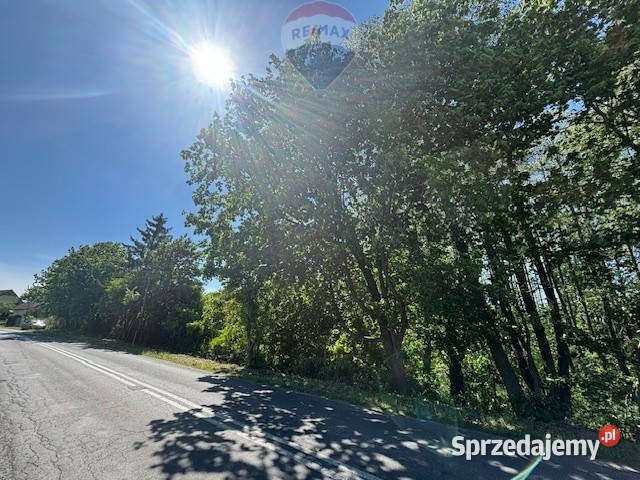 Duża działka koło Borów Tucholskich pomorskie sprzedam