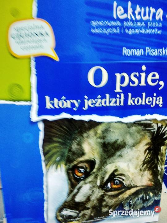 O psie który jeździł koleją Pisarski lektury Antykwariat mazowieckie sprzedam