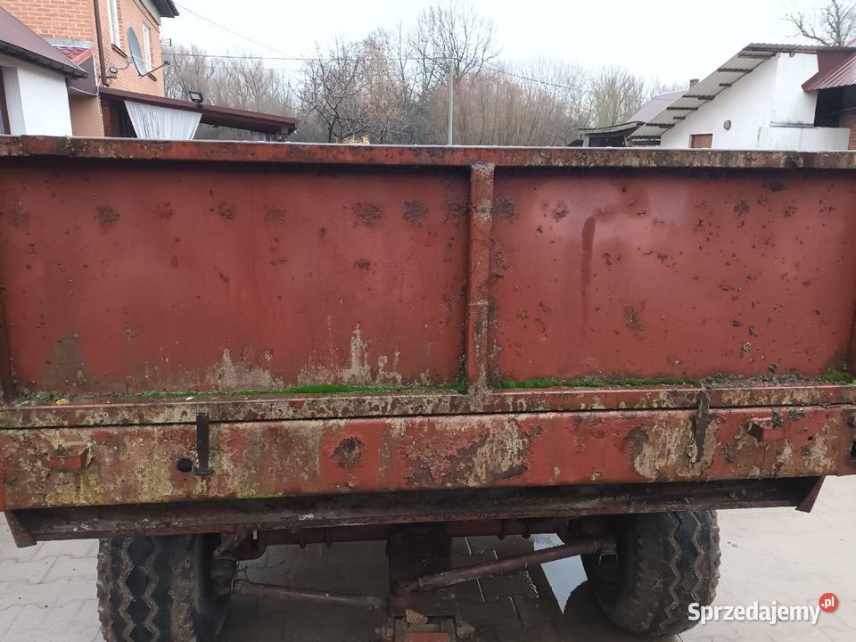 Burty rozrzutnika Ciszyca Przewozowa