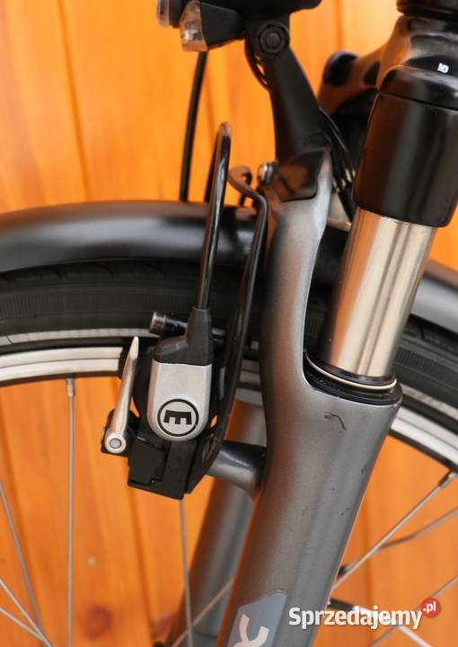 Rower elektryczny Flyer D 45 I inne rowery mazowieckie Milanówek sprzedam