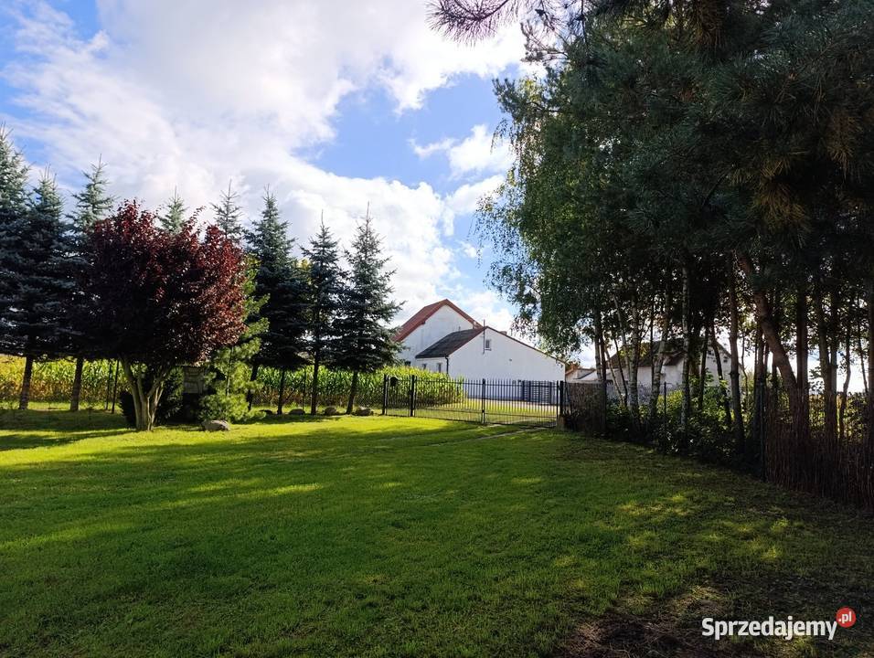 Dom lesie Działka 1800 m2 miasta 15 ogródek Sprzedaż Arkuszewo sprzedam