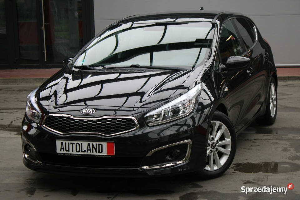 Kia Ceed Bezwypadkowy bogata wersja benzyna Kia Gliwice