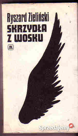 3694 SKRZYDŁA Z WOSKU RYSZARD ZIELIŃSKI małopolskie Czyrna sprzedam
