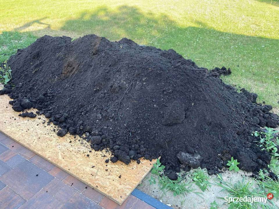 Kamień ozdobny Duży wybór Transport 4 tony Małogoszcz