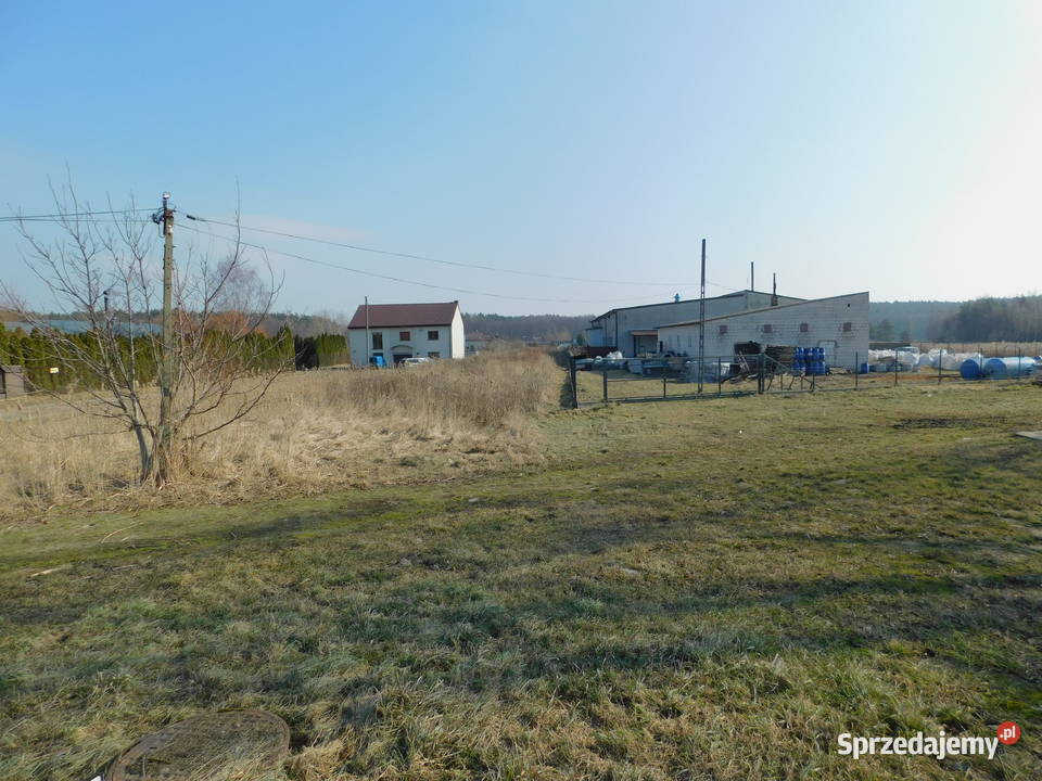 Syndyk sprzeda Mogielnica dz 16532