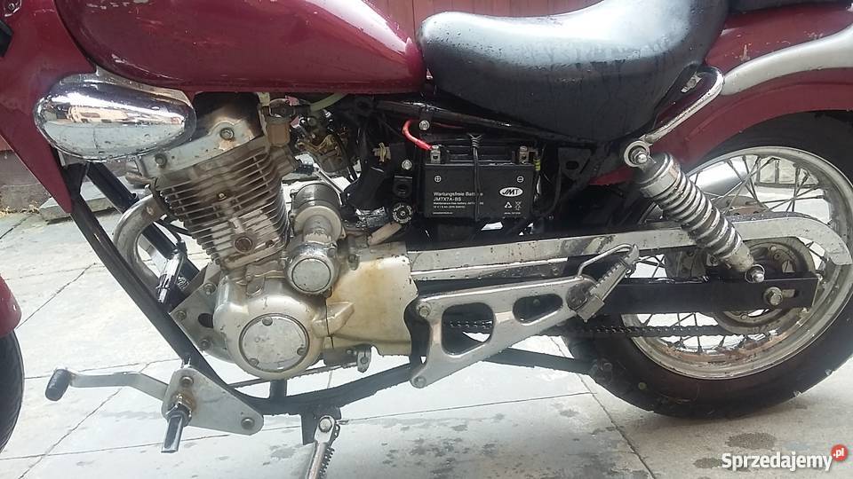 Chopper Rex 12550 Zipp Grybów