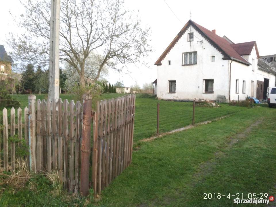 trzebina bad wachtel kunzendof góry opawskie