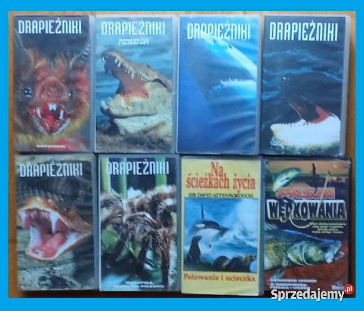 Kasety VHS Drapieżniki Na ścieżkach życia Pasja Łódź
