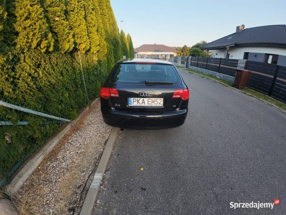 Audi a3 8p Sportback 2005 r 16 benzyna lpg benzyna+LPG Kalisz