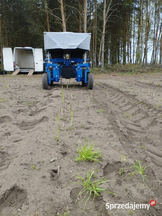 Maszyna elektryczna do zbioru szparagi Wolsztyn