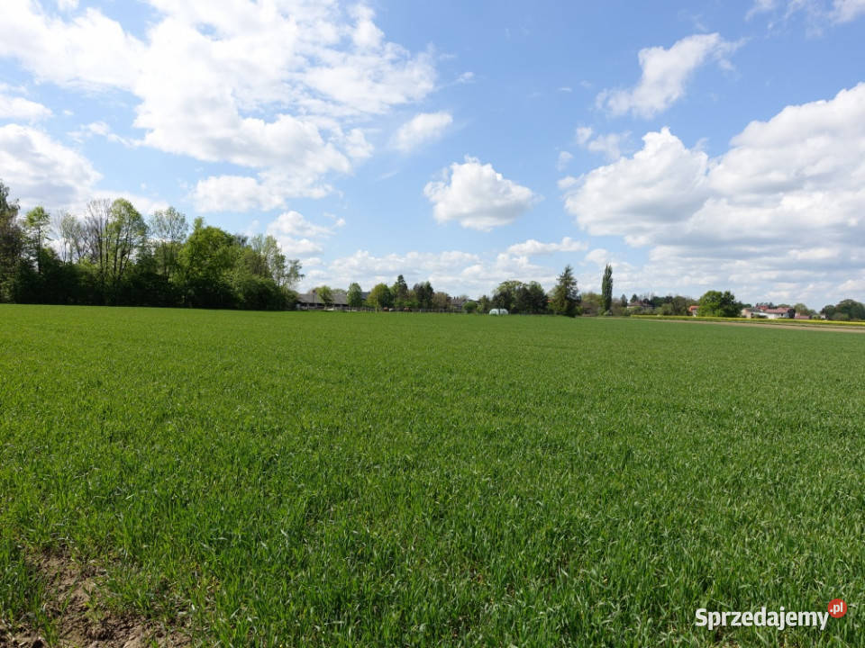 Skoczów Pruchna 115ha pod zabudowe stadnine lux