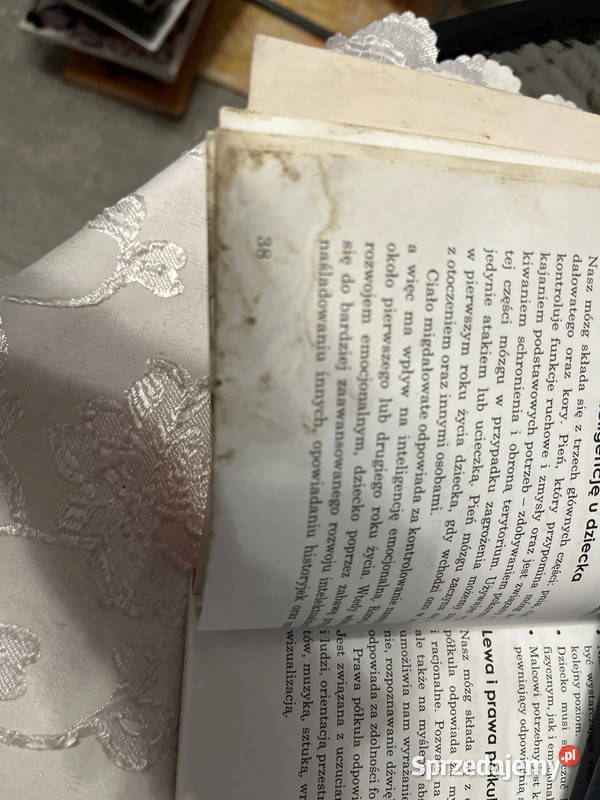 Książka Rozwiń interesujące swojego dziecka śląskie Bielsko-Biała sprzedam