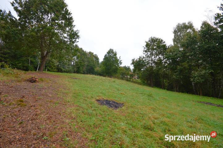 sprzedaży gruntu 12337m2 Nowy Wiśnicz 12337m2 małopolskie