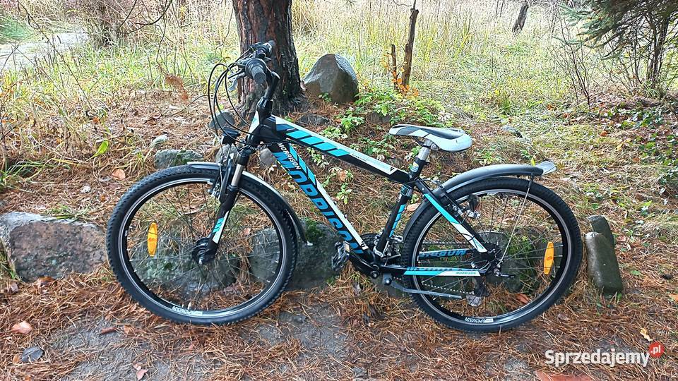 Alu Rower Górski Atb Młodzieżowy Morrison Beaver dolnośląskie Wołów