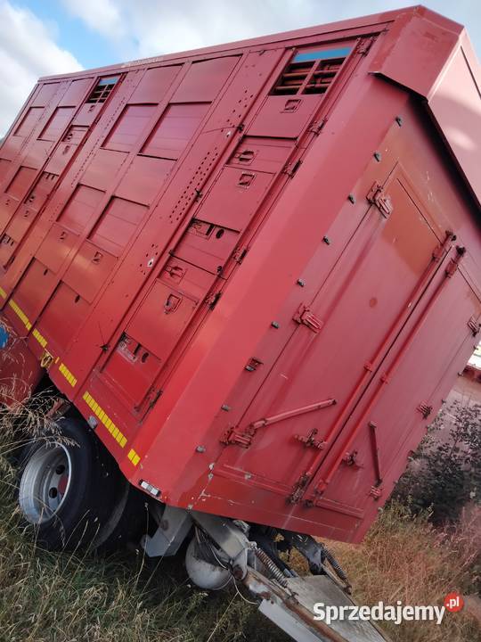 Scania V8 R480 Zestaw do przewozu żywca Zgierz