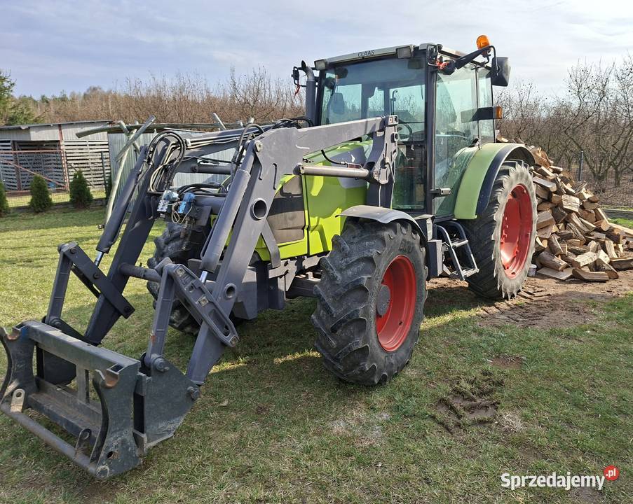 Claas Celtis 446RX Claas Sandomierz sprzedam