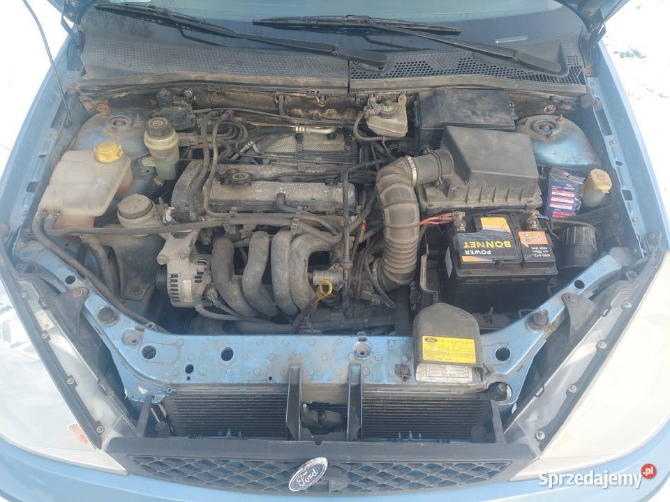 Samochód Ford Focus 2002 niebieski Rzeszów