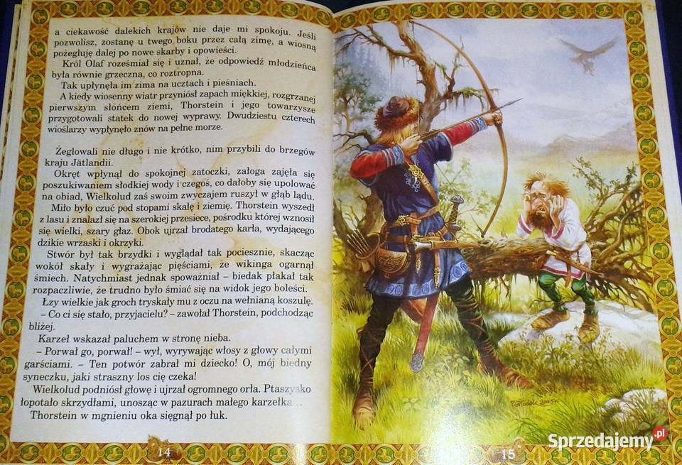 Przygody Thorsteina Wikinga Natalia Usenko Pozostałe Chełm sprzedam