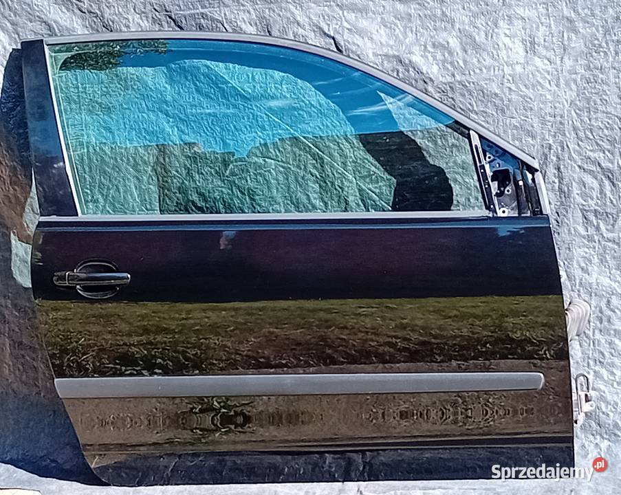 Drzwi prawe lewe VW Polo 9n LC9Z sprzedam