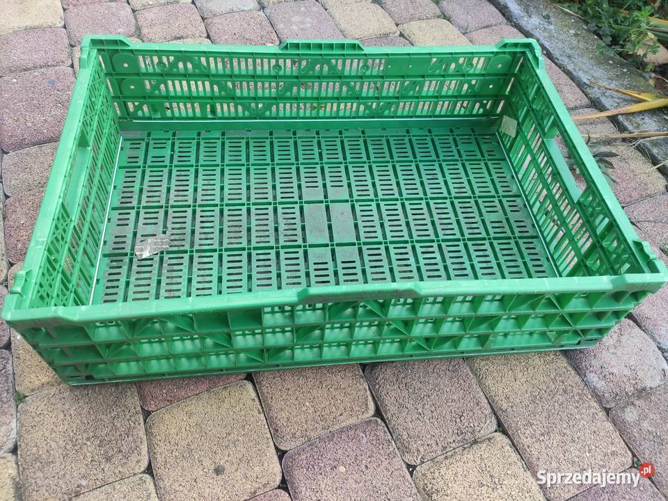 Transportery plastikowe Łagiewniki