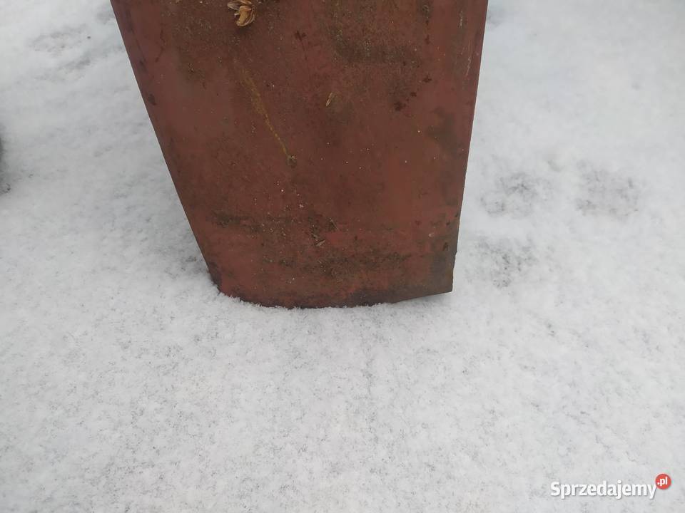 Błotniki Aro Muscel