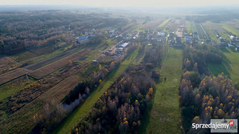 Działka na sprzedaż 12700m2 DereźniaZagrody Dereźnia-Zagrody
