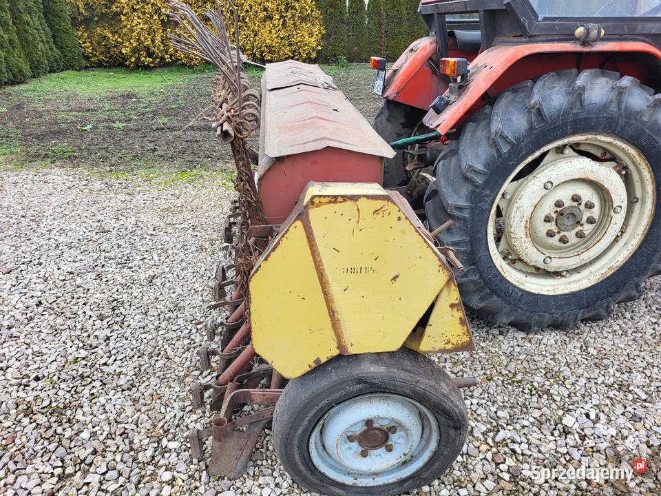 Siewnik poznaniak Wiskitki