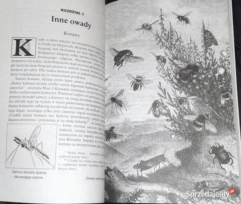 Mowa zwierząt Stephen Hart Chełm