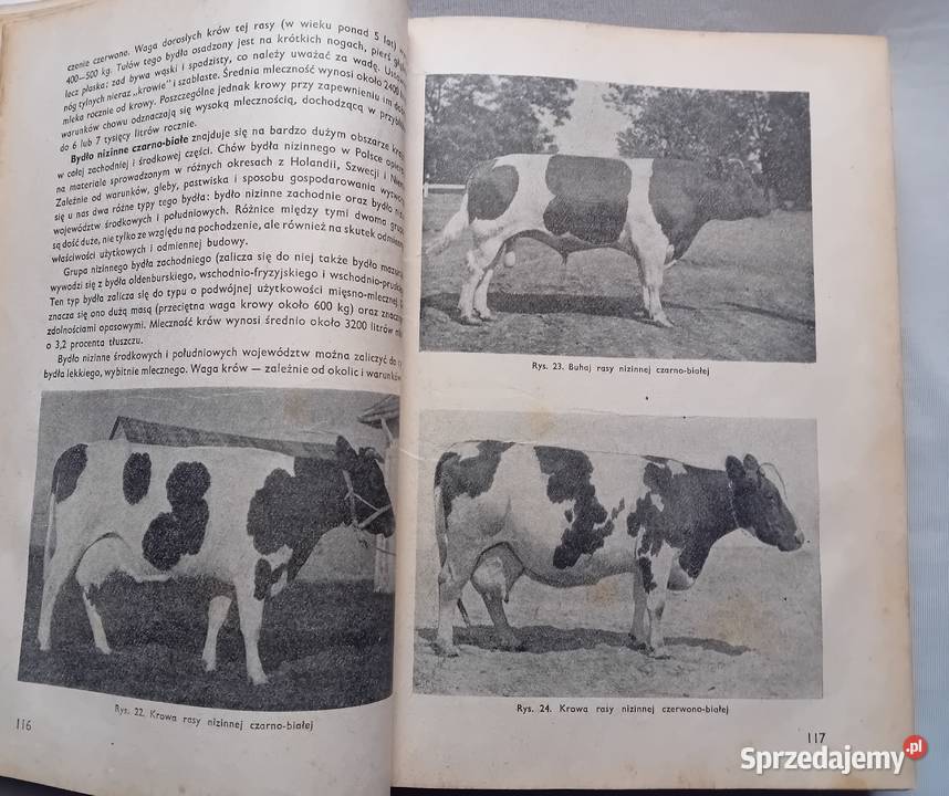 Poradnik gospodarski PWRiL 1960 r Wydanie II