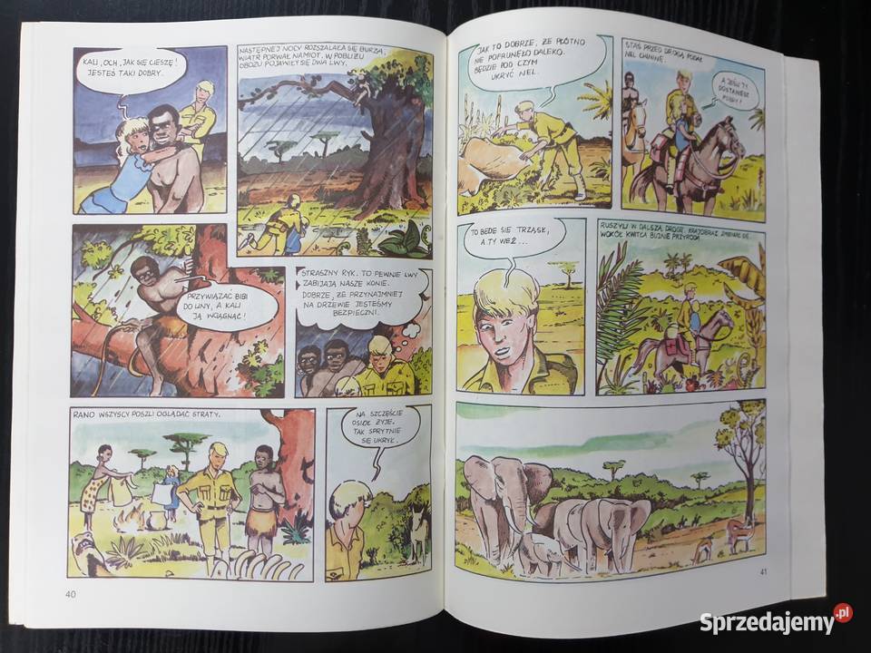 W Pustyni i w Puszczy komiks