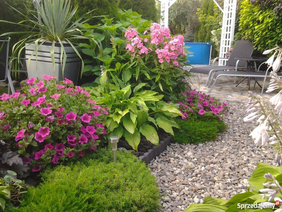 Sprzedam dom Bieruń Nowy węglowe sprzedam