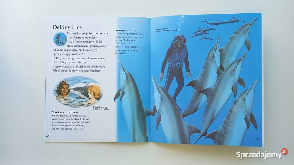 Edukacja Przyroda O wielorybach i delfinach Moja Kraków