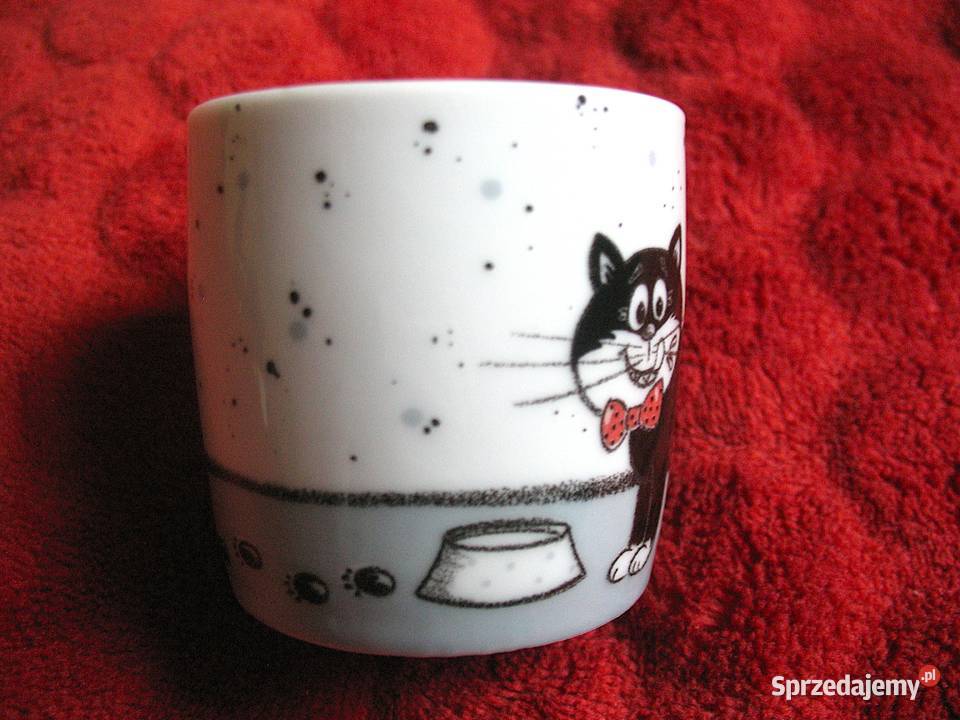 Kot mały kubek 5 x 5 Konitz mazowieckie Siedlce