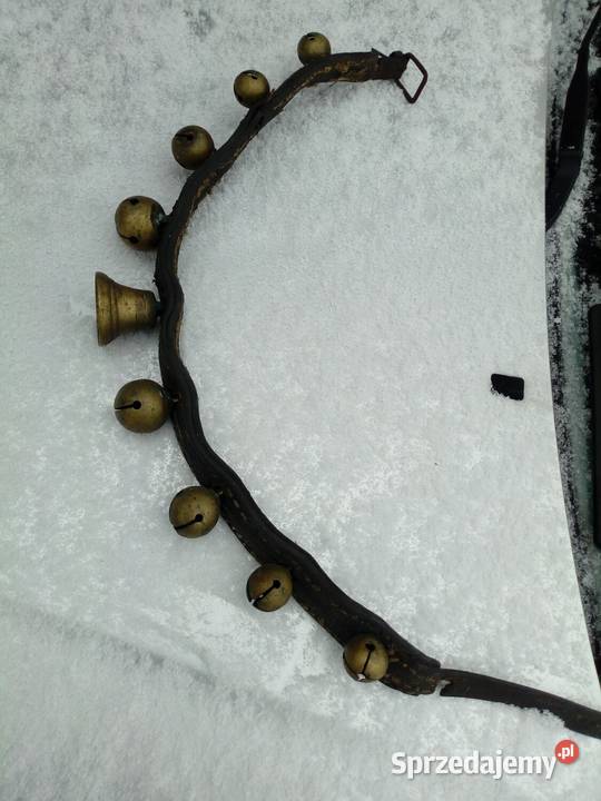 Janczary konnedzwonki