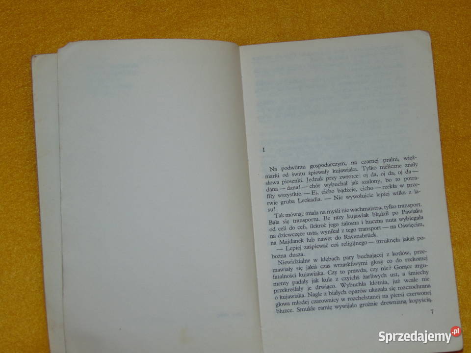 Krata Pola Gojawiczyńska Lublin