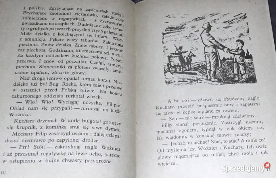 Filip i jego załoga na kółkach Janina Broniewska Chełm